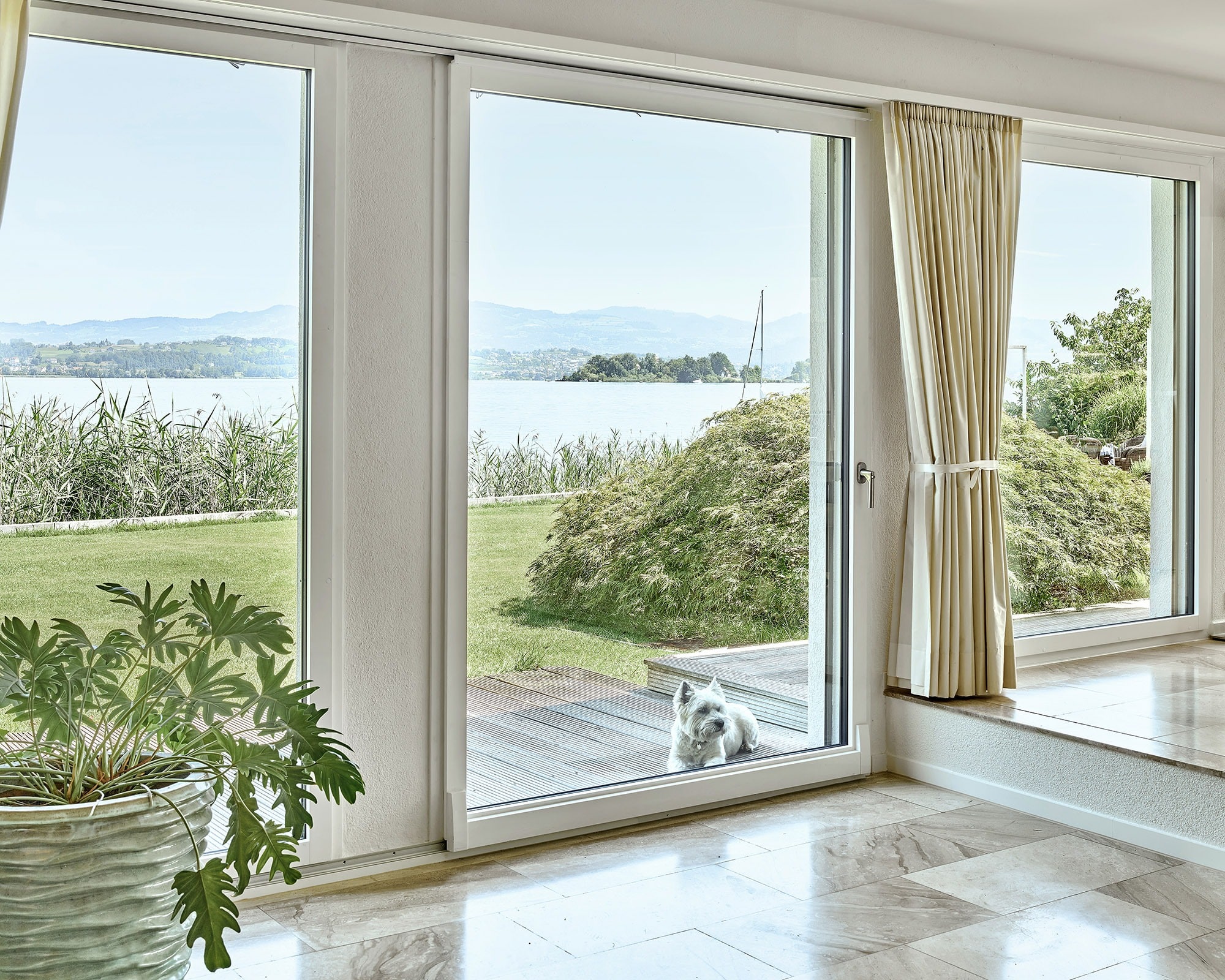 Fensterrenovation: Hund sitzt auf der Terrasse und blickt durch die grosse Parallelschiebetür in den Wohnraum.