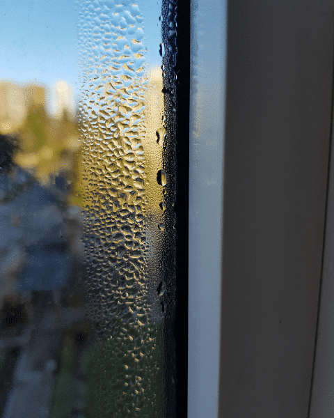 Fenster mit Aussenkondensat