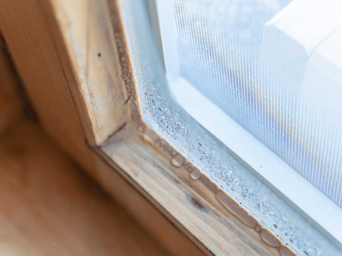 Innenkondensat am Fenster