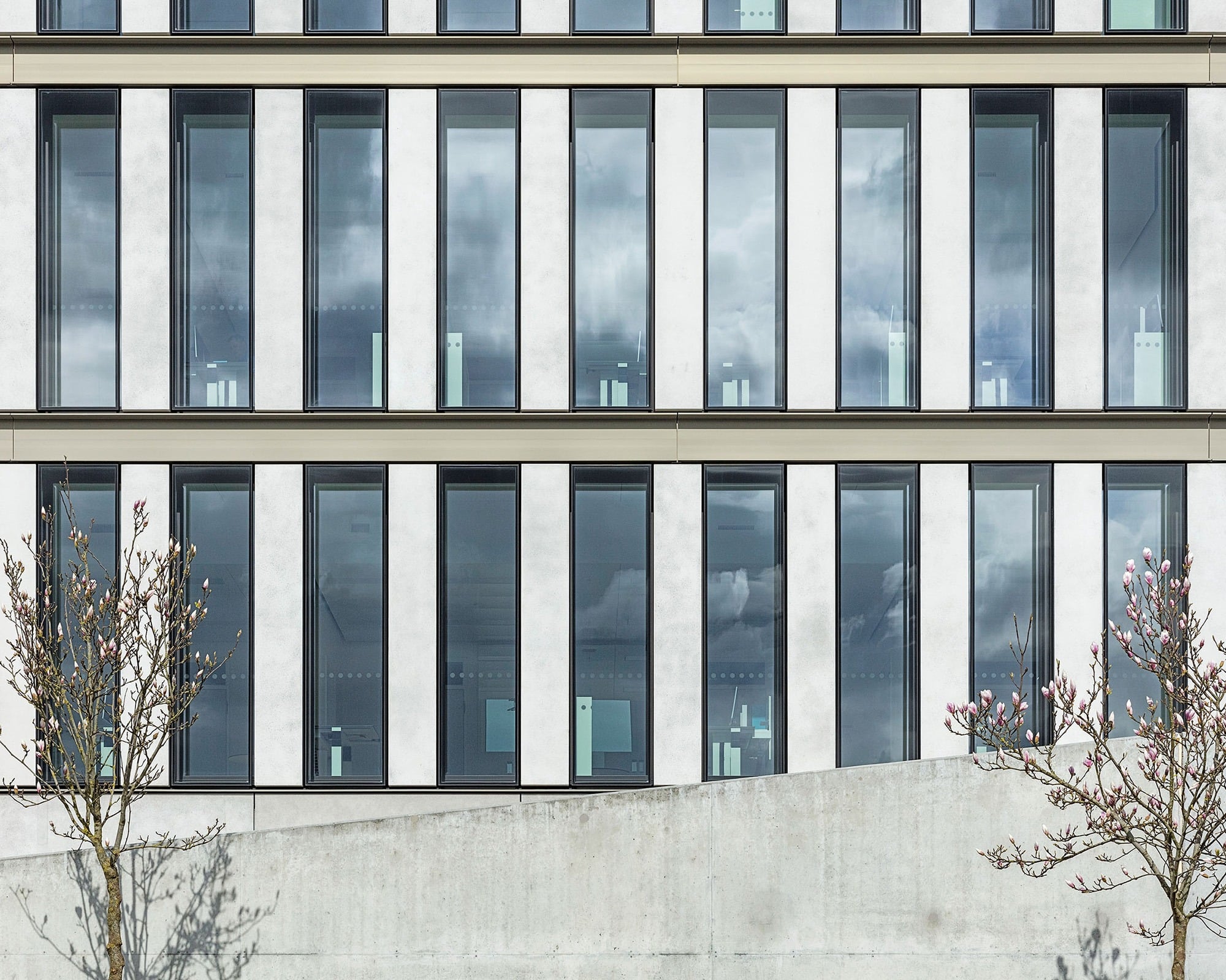 Pfosten Riegel Fassade FS1 von 4B