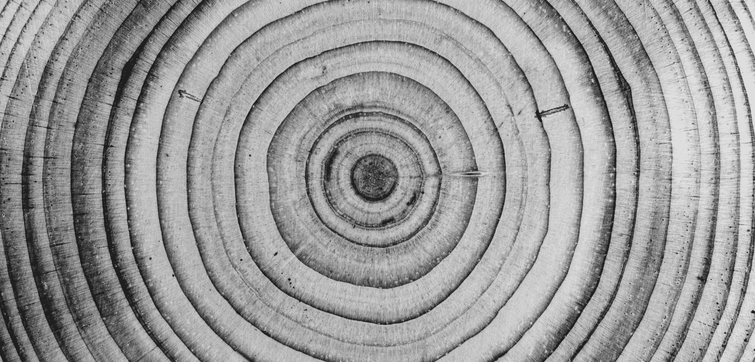 Schiebetür ST2_Neuheit 4B_Holz