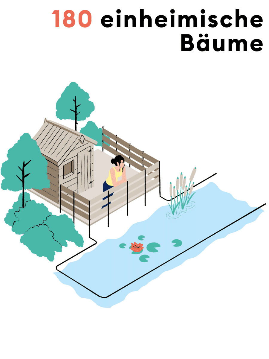 Illustration zu Nachhaltigkeit: Unser Engagement mit den eigenen Bäumen und Teichen